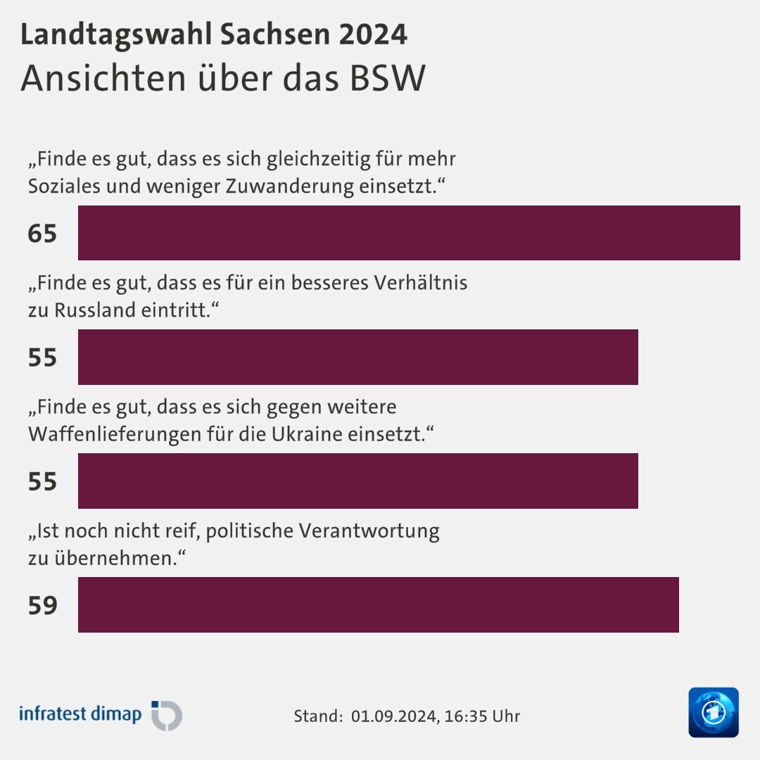 Ansichten über das BSW