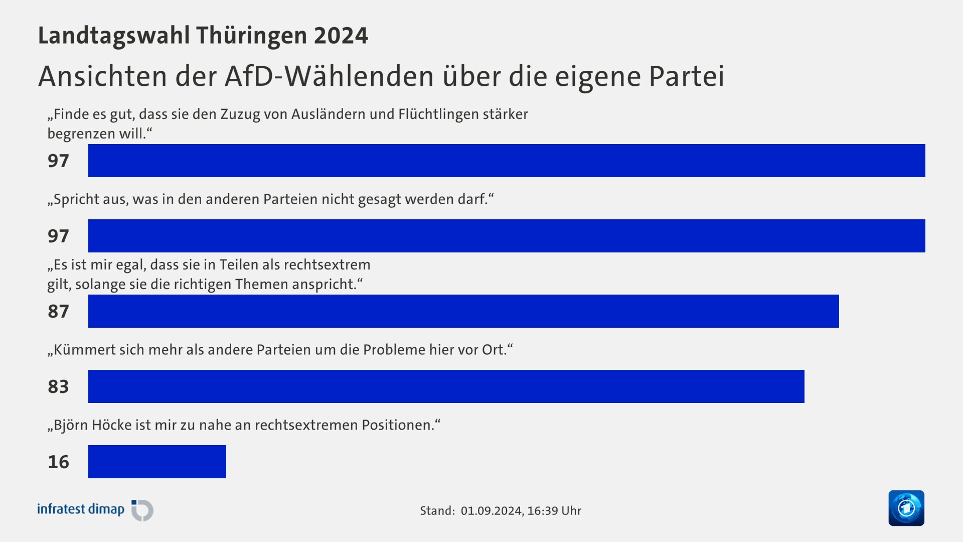 Ansichten der AfD-Wählenden über die eigene Partei