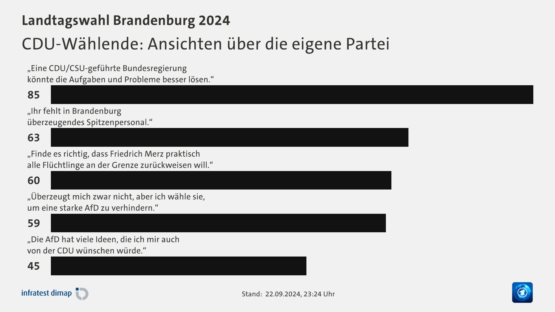 CDU-Wählende: Ansichten über die eigene Partei