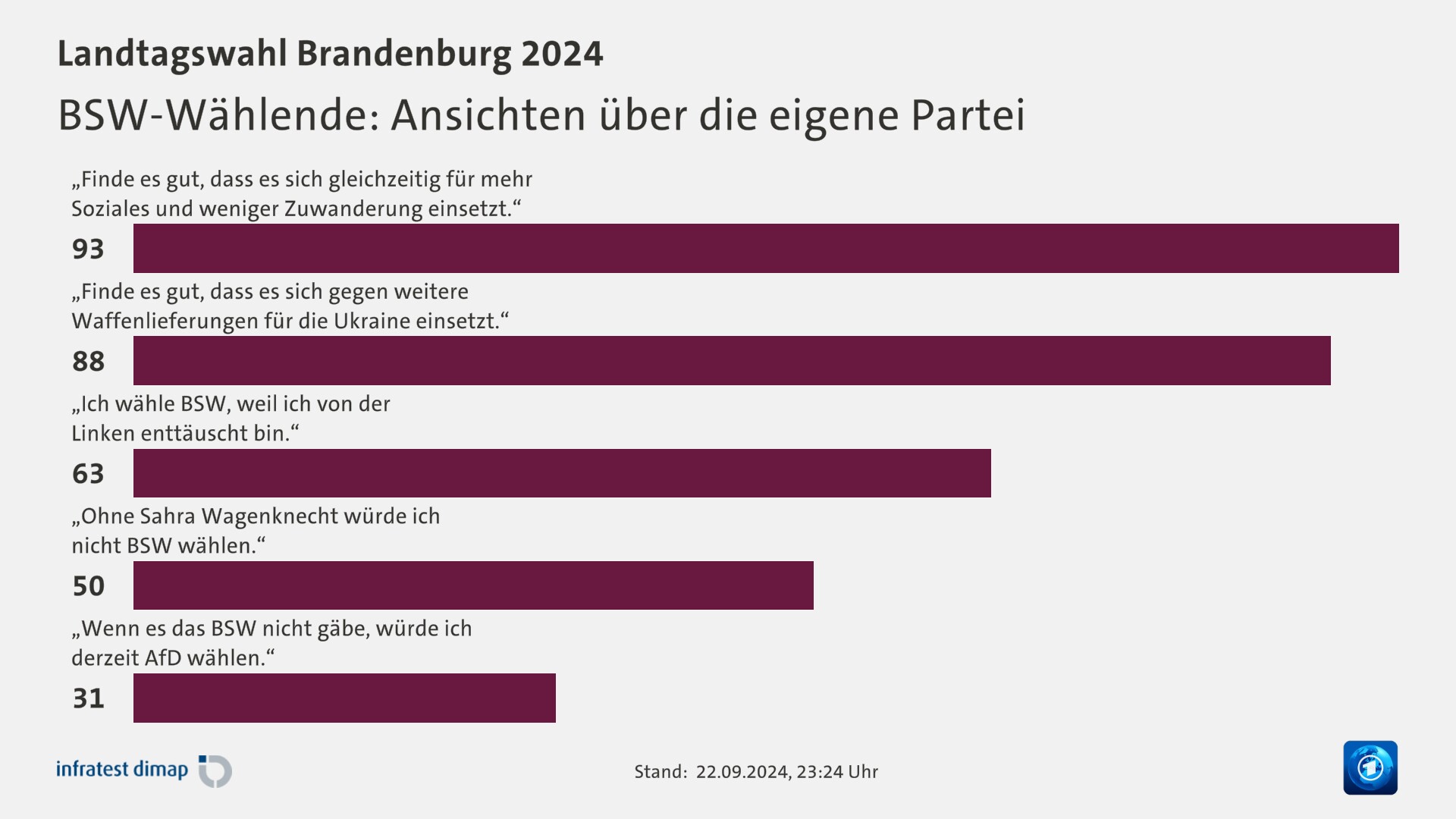 BSW-Wählende: Ansichten über die eigene Partei