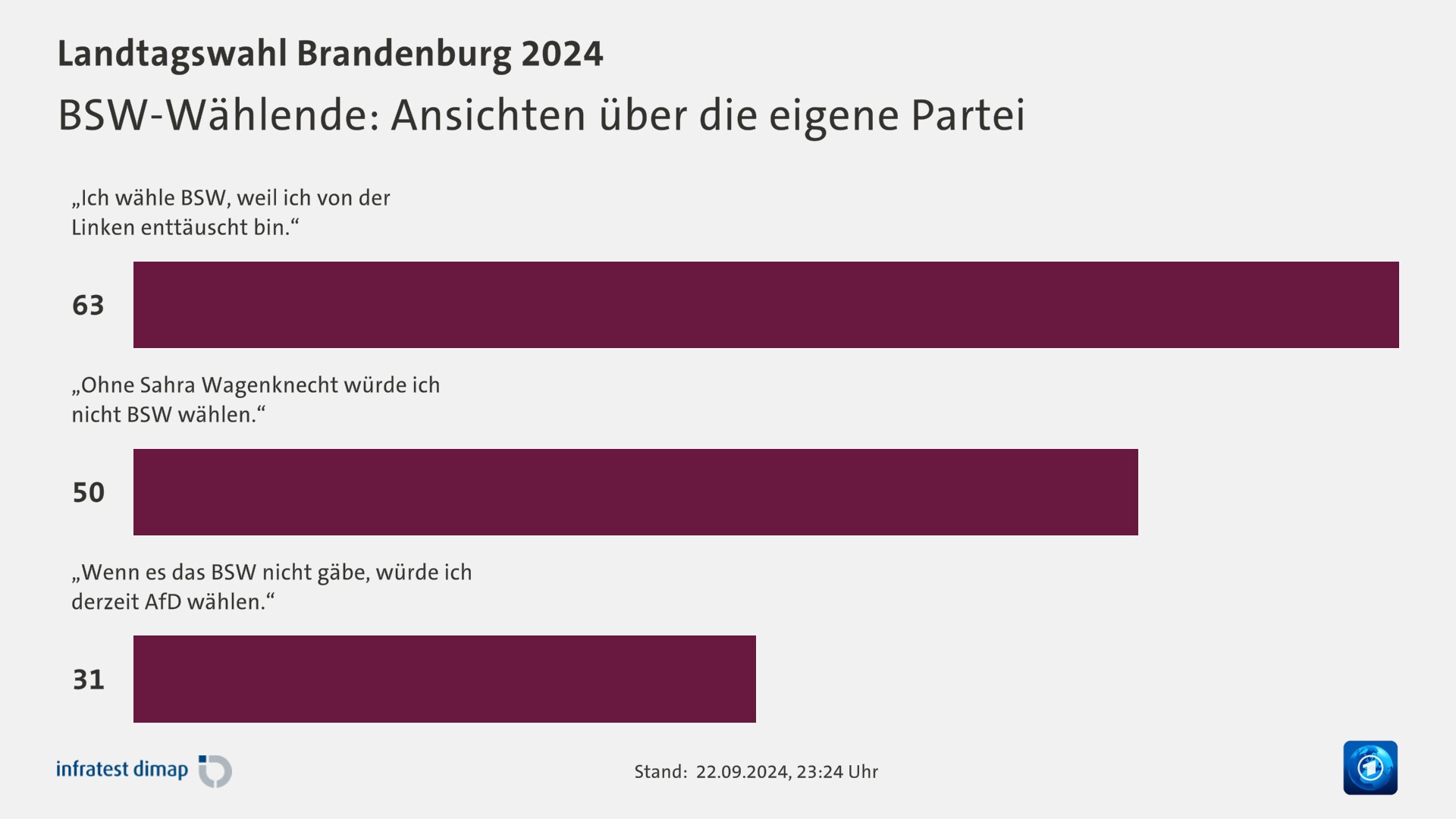 BSW-Wählende: Ansichten über die eigene Partei